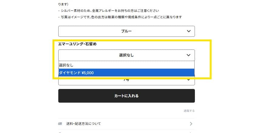 オプションを選ぶ